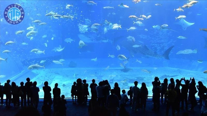 Antalya Aquarium from Sorgun2