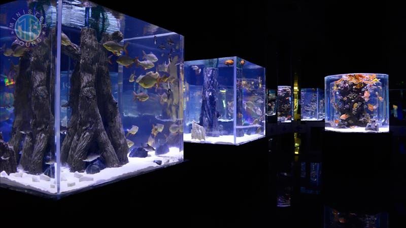 Titreyengol Aquarium6