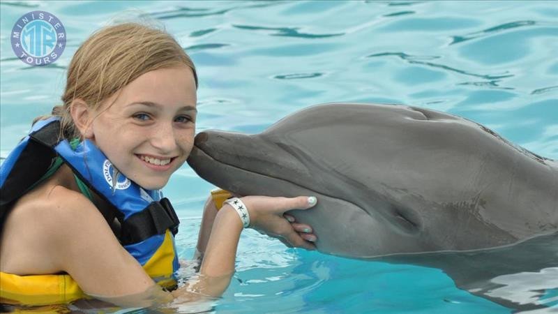 Nager avec les dauphins Evrenseki1