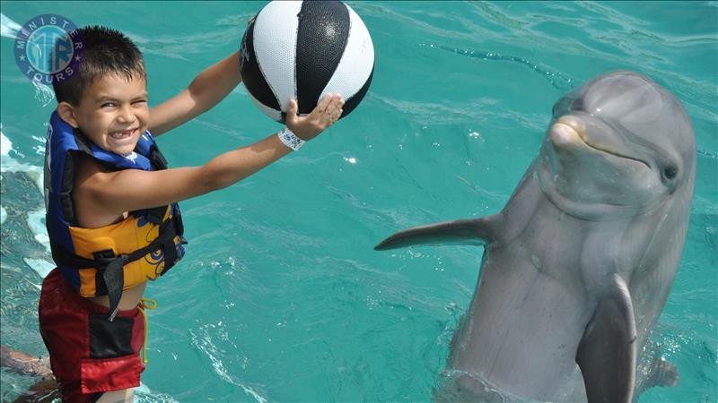 Nager avec les dauphins Sorgun3