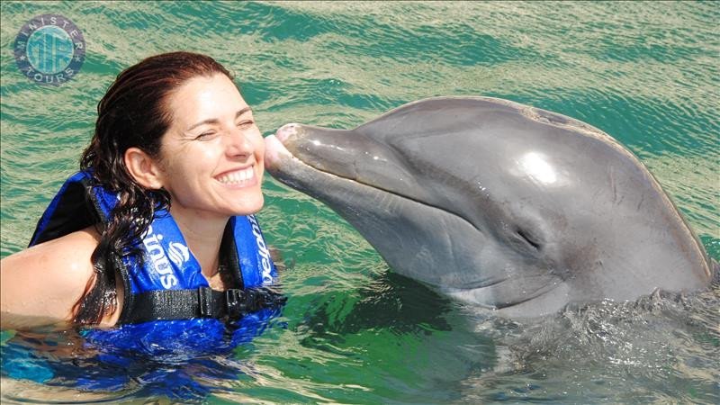 Nager avec les dauphins Kizilot7