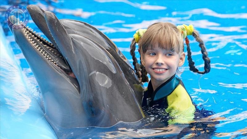 Nager avec les dauphins Kizilot8