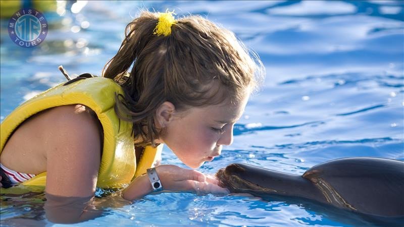 Nager avec les dauphins Sorgun9