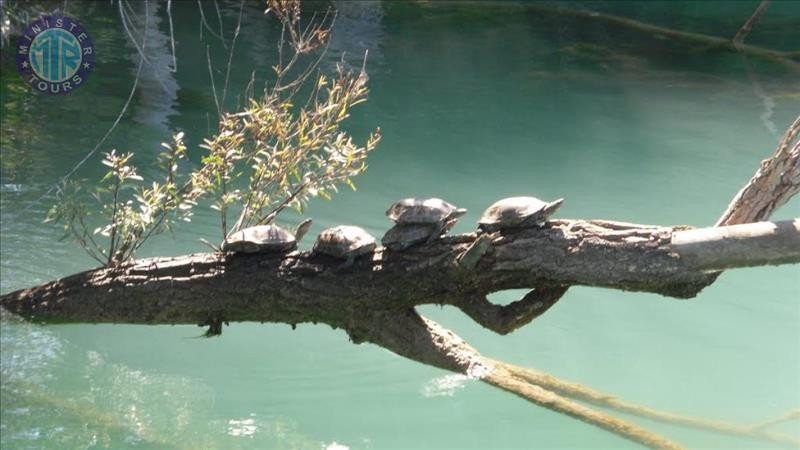 Manavgat river cruise tour in Titreyengol1