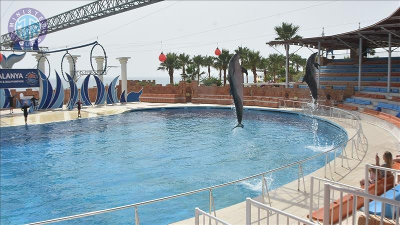 Delfin park i Kumkoy8