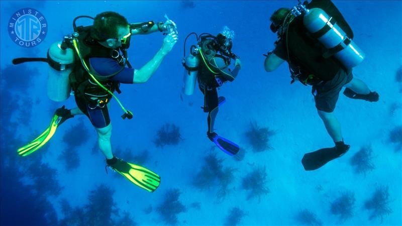 Plongée sous-marine à Alanya depuis Titreyengol0