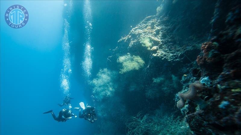 Plongée sous-marine à Alanya depuis Titreyengol2