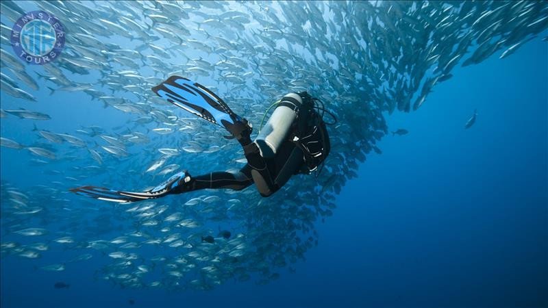 Alanya diving from Kumkoy4