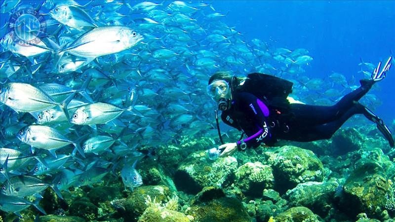 Kumköy'den Alanya Dalış Turu9