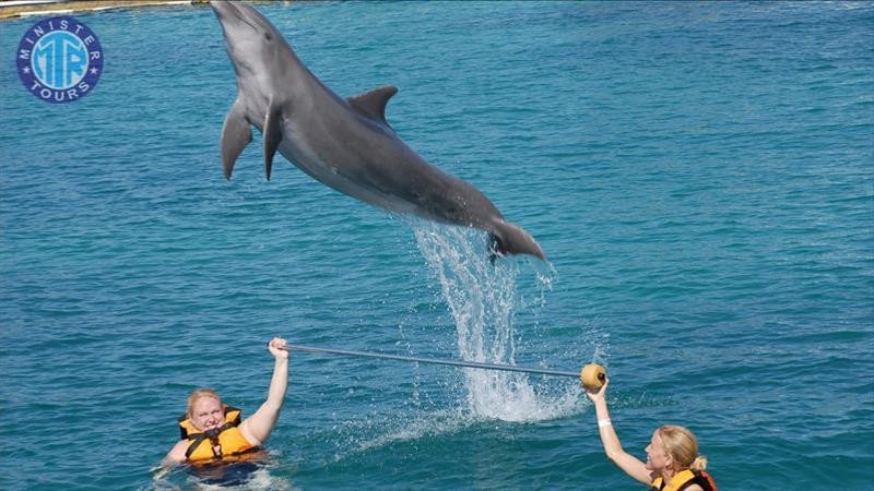 Antalijos delfinariumas iš Kadriye7