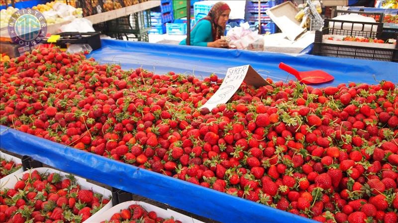 Boğazkent'ten Manavgat Nehri Tekne Turu3