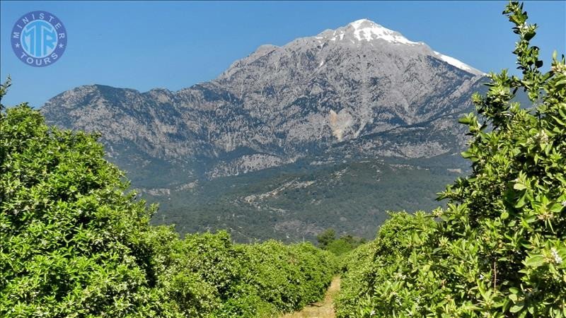 Olympos keltuvas į Tahtali kalną iš Bogazkento7