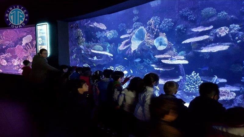 Aquarium à Bogazkent5