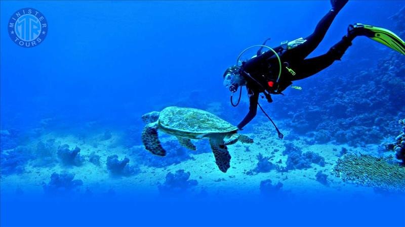 Diving in Kemer8