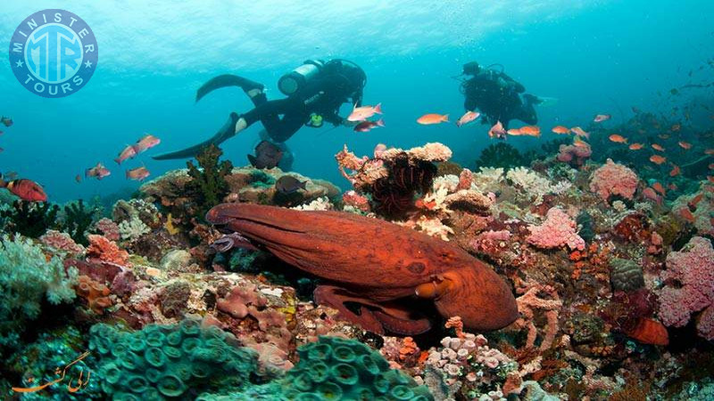 Diving in Kusadasi5