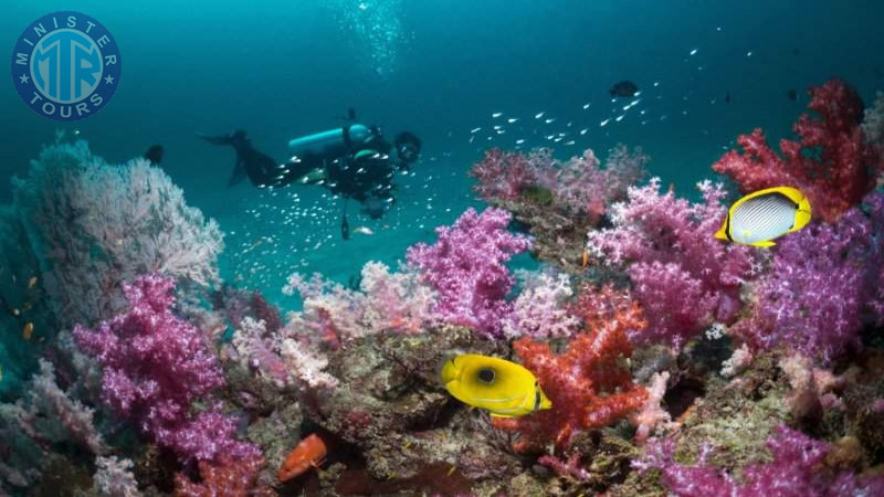 Diving in Kusadasi7