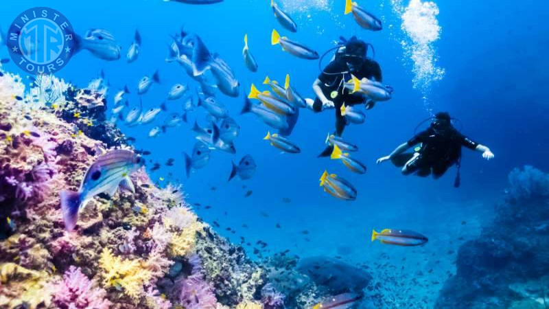 Diving in Kusadasi8