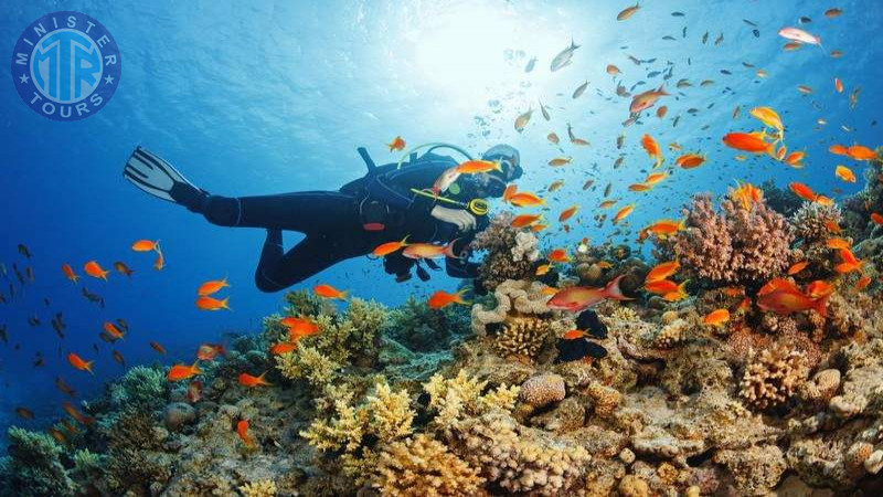 Diving in Bodrum0