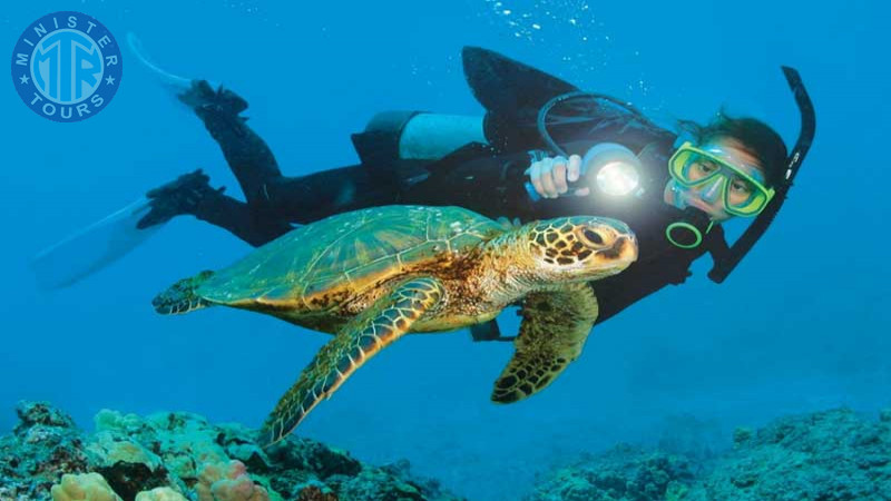 Diving in Bodrum4