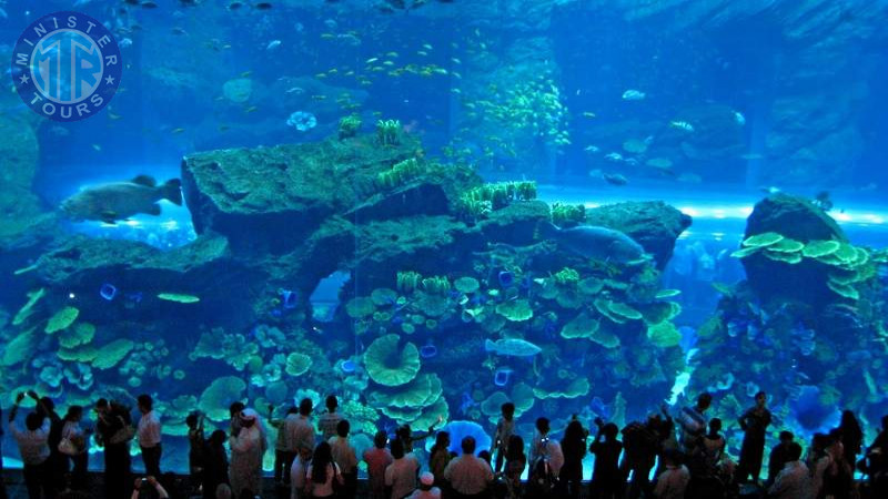 Aquarium in Istanbul0