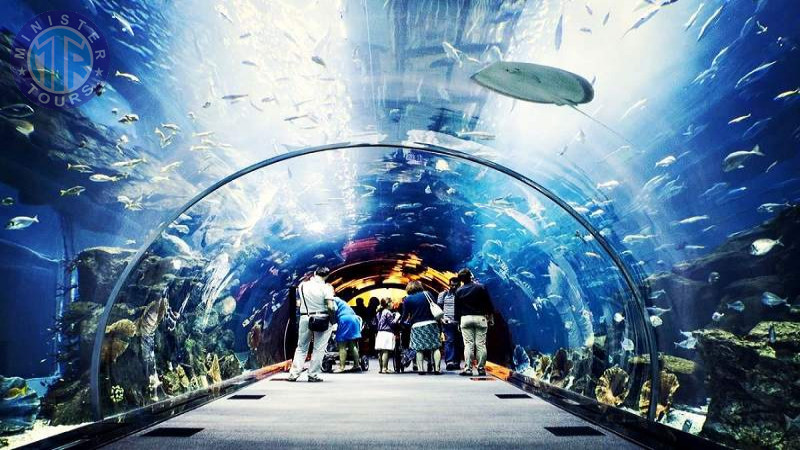 Aquarium in Istanbul1