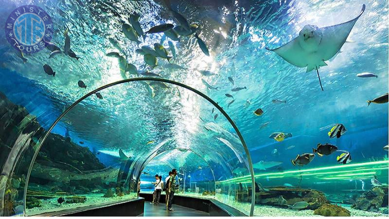 Aquarium in Istanbul6