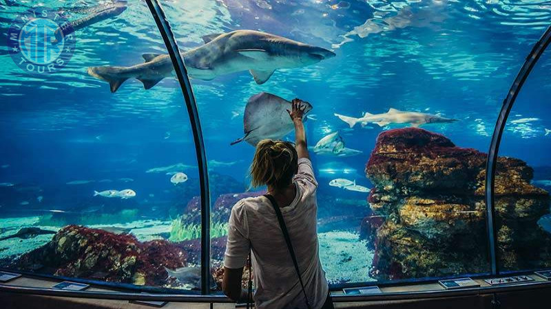 Aquarium in Istanbul7