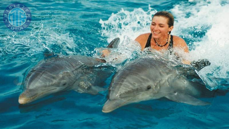 Swimming with dolphins in Bodrum0