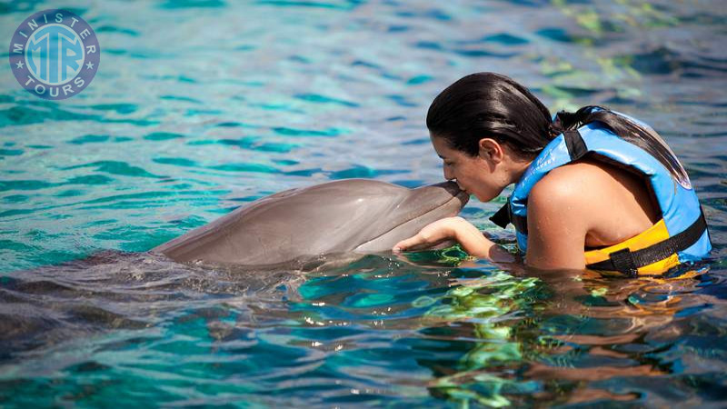 Swimming with dolphins in Bodrum2