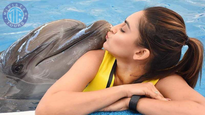 Swimming with dolphins in Bodrum6