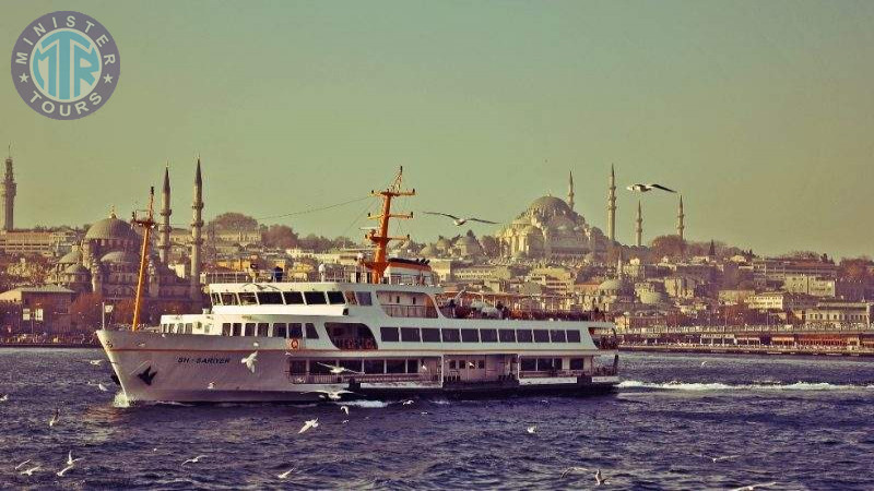 Istanbul dinner cruise8