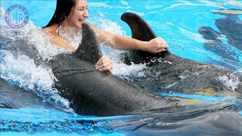 Swim with Dolphins in Kemer0