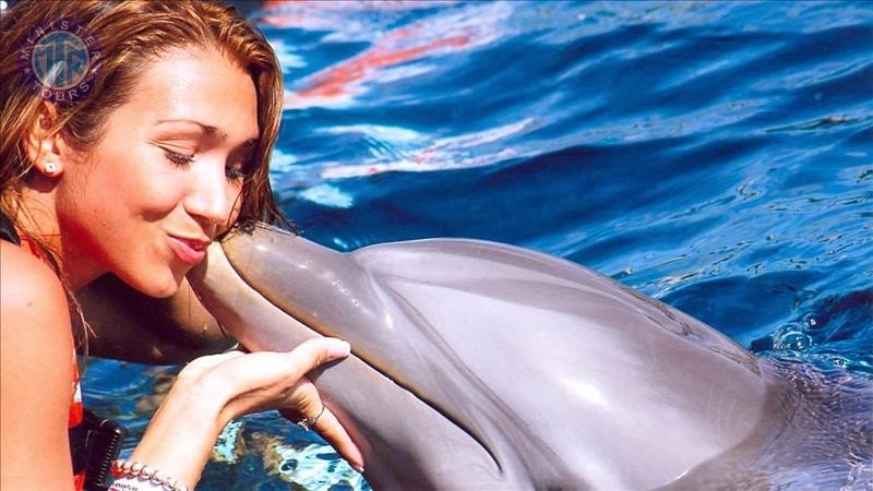 Swim with Dolphins in Kemer6