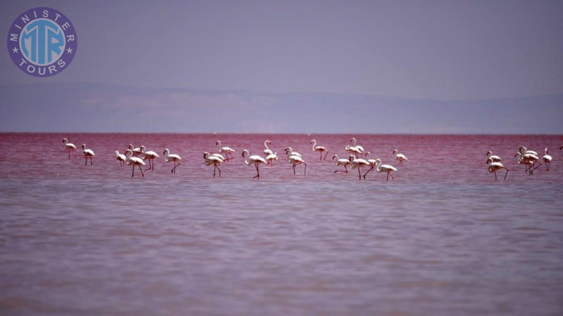 Individual excursion to Lake Tuz from Cappadocia5