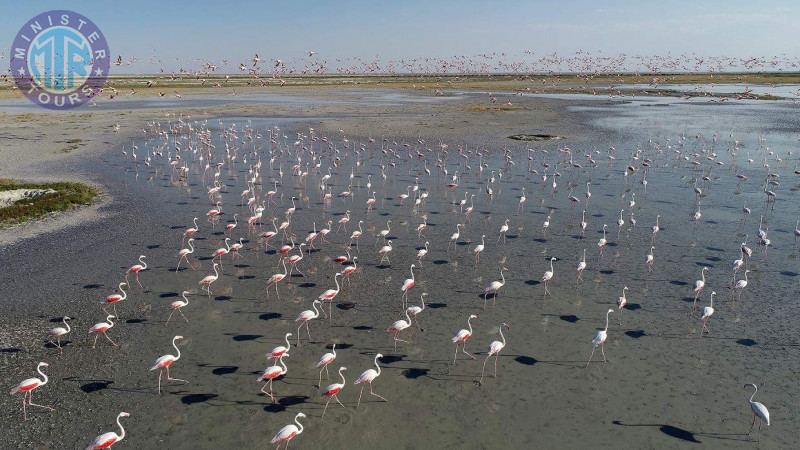 Individual excursion to Lake Tuz from Cappadocia8