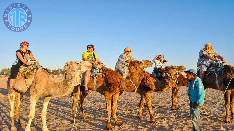 Camel Safari in Cappadocia2