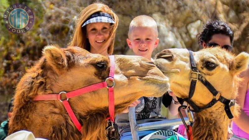 Camel Safari in Cappadocia3