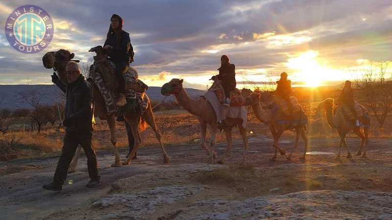 Camel Safari in Cappadocia5