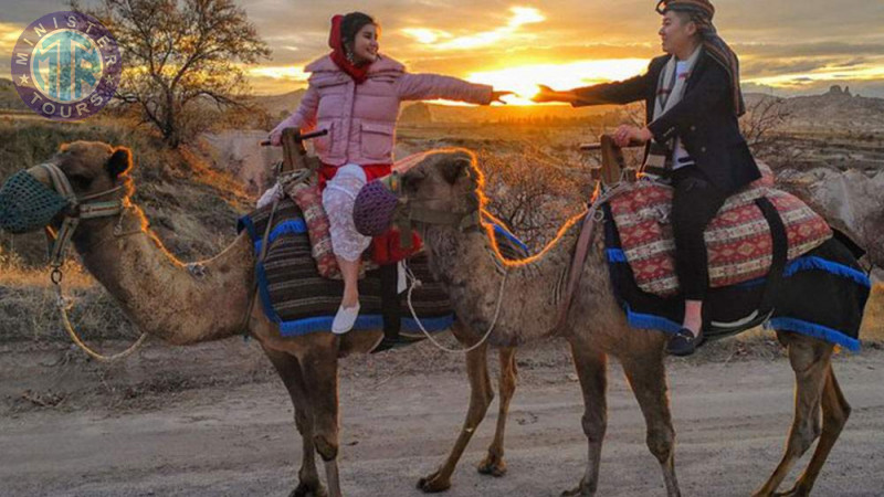 Camel Safari in Cappadocia8