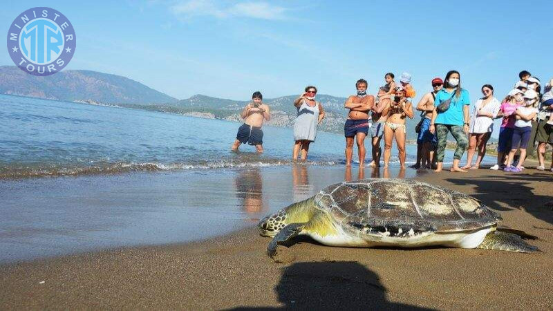 Excursion to Dalyan from Bodrum8