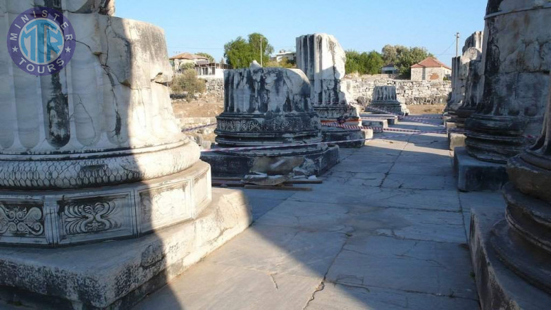 Individual excursions to Didim2