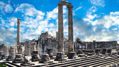 Excursion à Priene Milet Didyma depuis Izmir gif