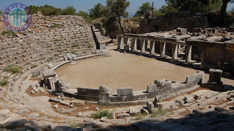 Ancient cities of Priene, Miletus, Didim of Izmir4