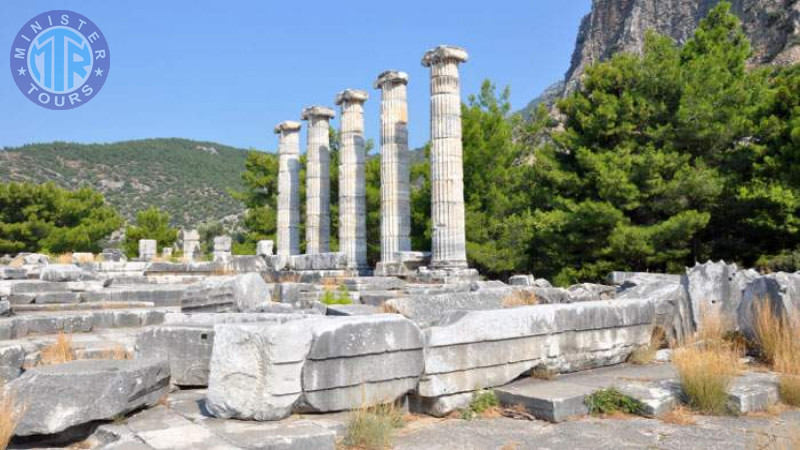 Ancient cities of Priene, Miletus, Didim of Izmir5