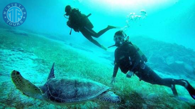 Diving in Kalkan2