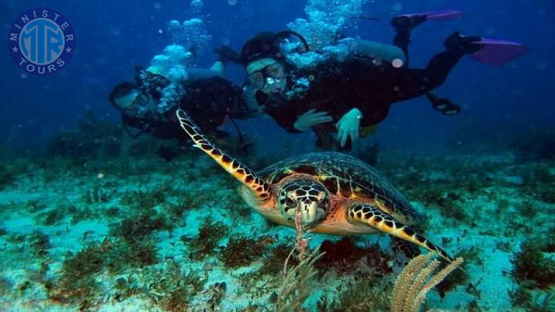 Diving in Didim0