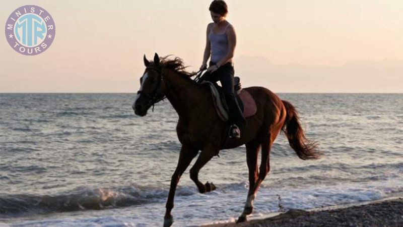 Horseback riding in Didim8