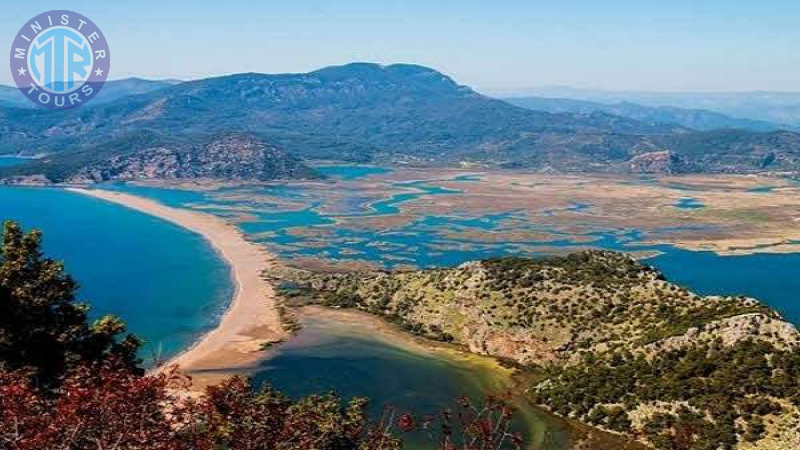 Dalyan from Didim1