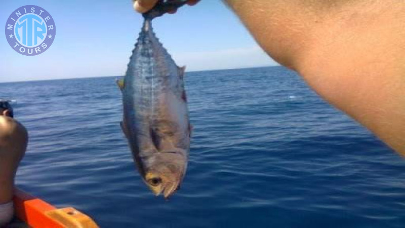 Fishing in Didim6