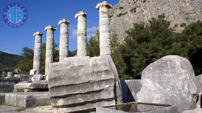 Ancient cities of Miletus and Priene from Didim2